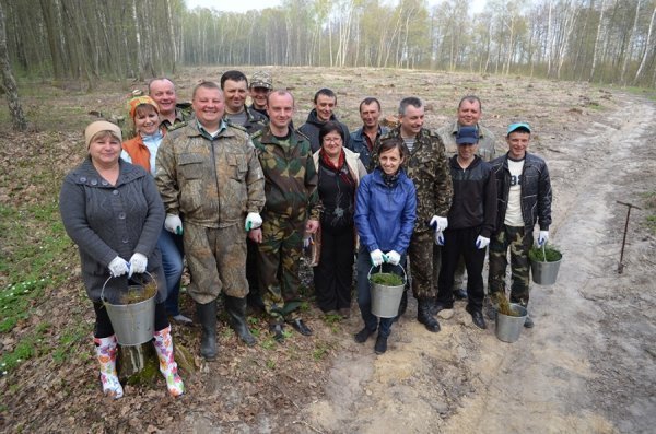 Як на Волині садять ліс. ФОТО